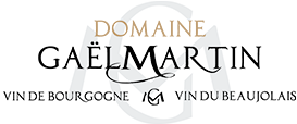 logo_MARTIN.png