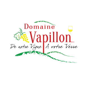 logo_vapillon.png